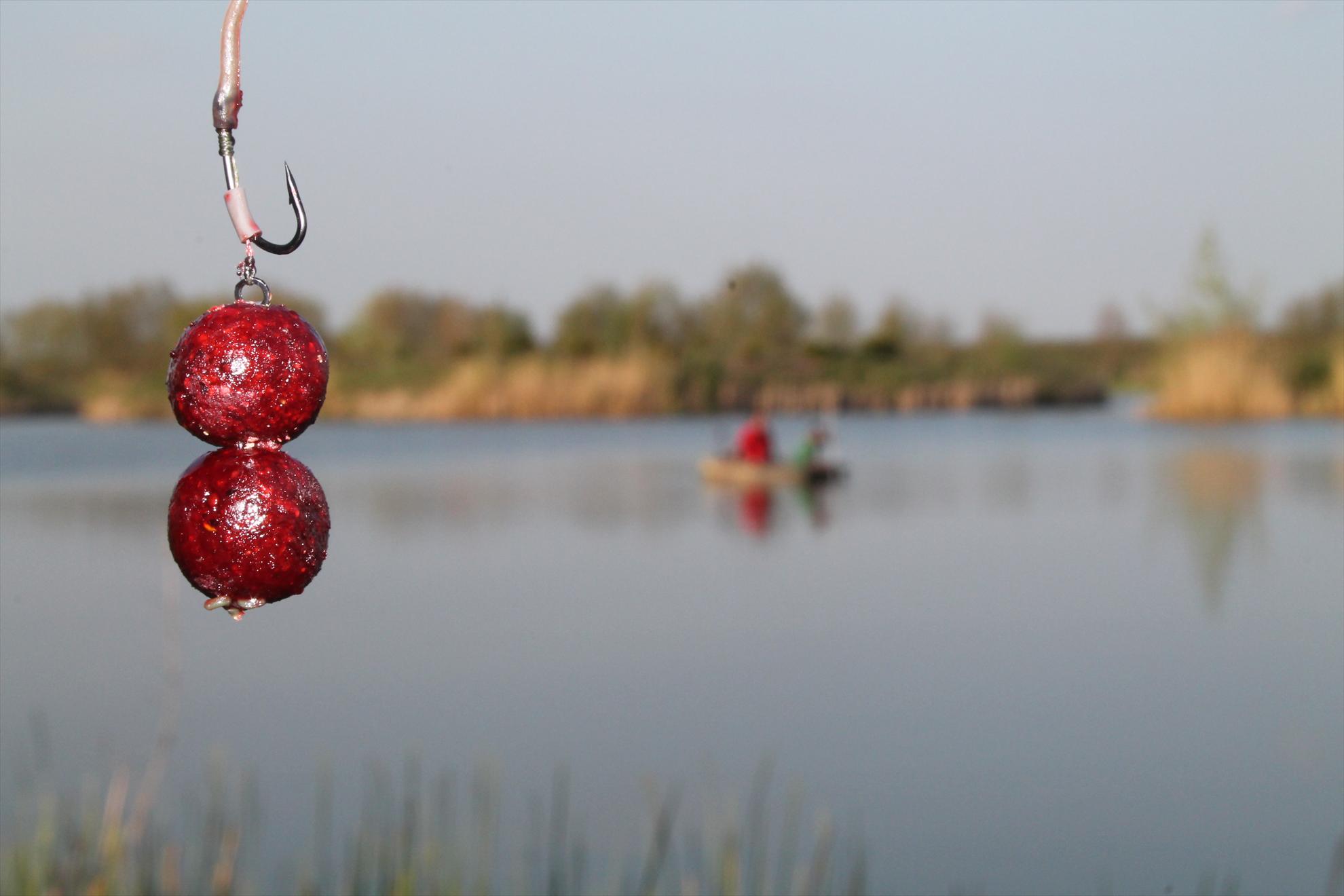 My new passion...3 - nagykallo-aprilie2013-200.JPG